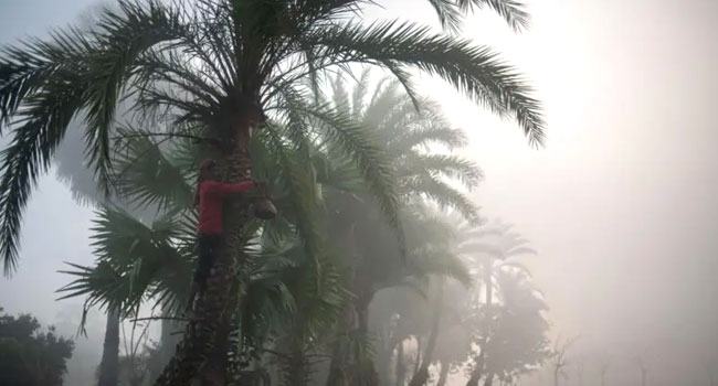 শীতের মেয়াদ কি কমে আসছে?