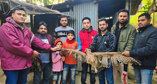 গুরুদাসপুরে গুলিবিদ্ধ ভুবন চিল উদ্ধার