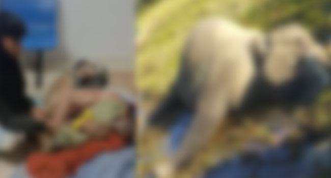বান্দরবানে হাতির আক্রমণে কৃষকের মৃত্যু, মারা গেল হাতিও
