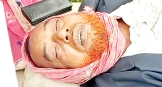 মতলবে গাছের নিচে চাপা পড়ে ব্যবসায়ীর মৃত্যু