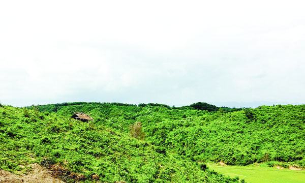 জনস্বার্থে চুনতি অভয়ারণ্য