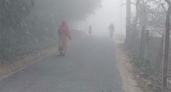 শীতে বিপর্যস্ত চুয়াডাঙ্গার জনজীবন
