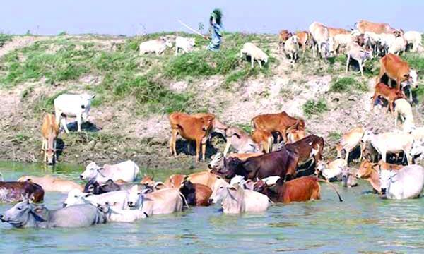 বাথান কী