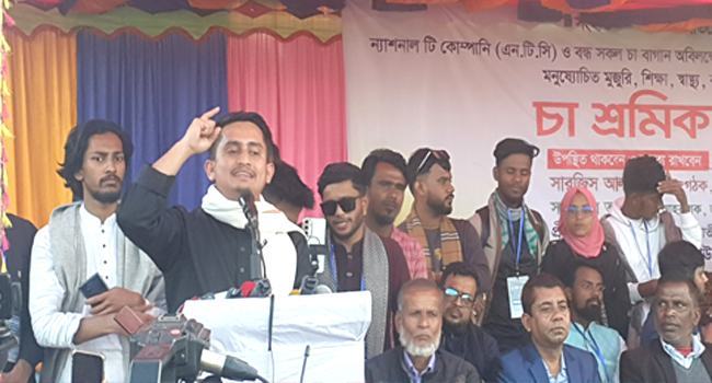 হাসিনার চোখ ছিল ঢাকা থেকে টুঙ্গীপাড়া পর্যন্ত : সারজিস আলম