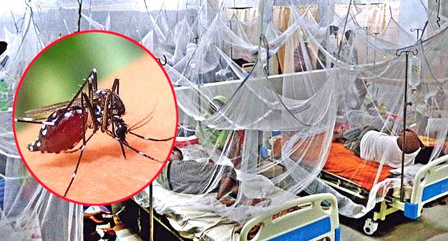 ডেঙ্গুতে ২৪ ঘণ্টায় আরো ১ জনের মৃত্যু