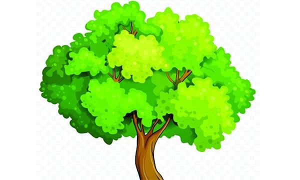 মানুষের জীবনে গাছ