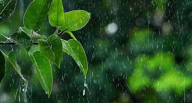 গুঁড়িগুঁড়ি বৃষ্টির আভাস