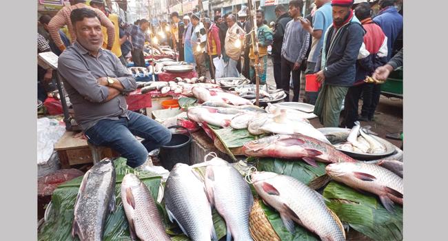 মৌলভীবাজারে জমে উঠেছে মাছের মেলা