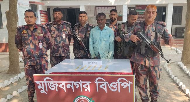 মেহেরপুরের সীমান্তে ১৮টি স্বর্ণের বারসহ ভারতীয় নাগরিক আটক