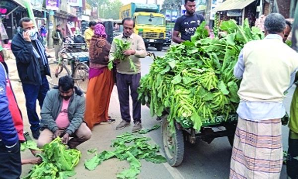 কৃষকের গলার কাঁটা ফুলকপি মিলছে না ন্যায্যমূল্য