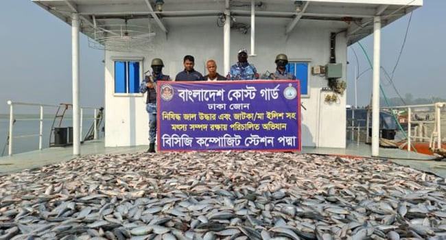 পদ্মা সেতু এলাকা থেকে ১২ শ’ কেজি জাটকা ইলিশ উদ্ধার
