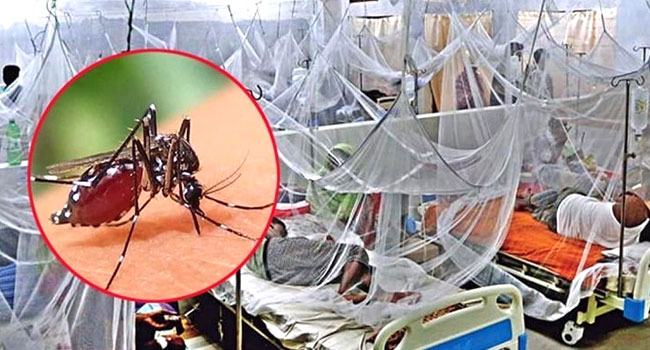 ডেঙ্গুতে আক্রান্ত হয়ে আরো ৪৬ জন হাসপাতালে ভর্তি