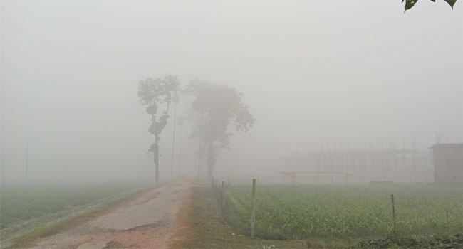 ঘন কুয়াশায় আচ্ছন্ন নীলফামারী