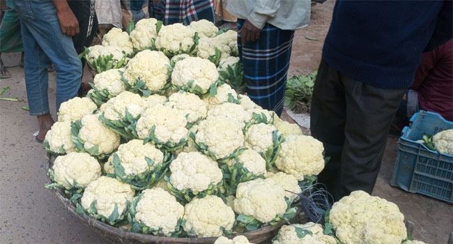 ৮০ টাকা দরের ফুলকপি ২ টাকা