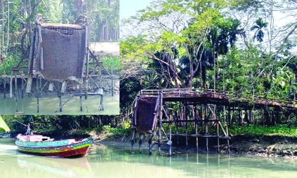 মির্জাগঞ্জে ভেঙে পড়া সেতু ৫ বছরেও নির্মাণ হয়নি