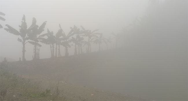 নীলফামারীতে কনকনে ঠাণ্ডায় জনজীবনে দুর্ভোগ