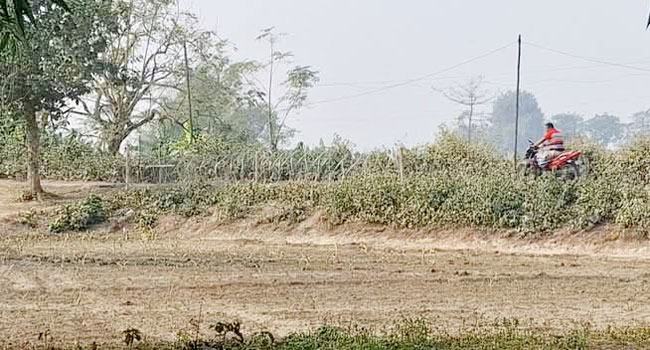 জয়পুরহাটে সীমান্তে বিএসএফের কাঁটাতারের বেড়া নির্মাণের চেষ্টা, বিজিবির বাধায় বন্ধ