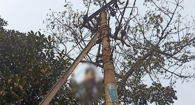 ঢাবিতে গাছ থেকে ঝুলন্ত লাশ উদ্ধার