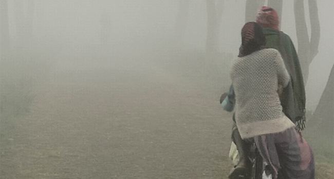 কুড়িগ্রামে প্রকৃতির সাথে যেন কুয়াশার মিতালী