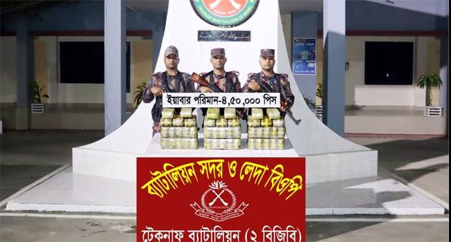 টেকনাফ সীমান্তে ৪ লাখ ৫০ হাজার পিস ইয়াবা উদ্ধার