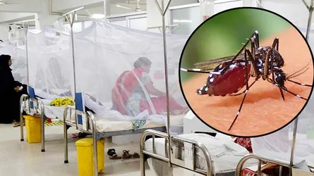 ডেঙ্গুতে একজনের মৃত্যু, হাসপাতালে ভর্তি ৬৩২