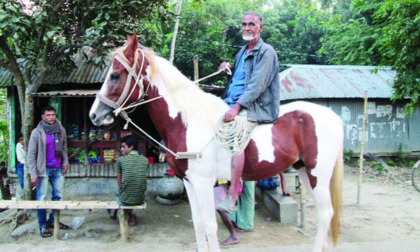 হাবিবুর রহমানের পঙ্খিরাজ