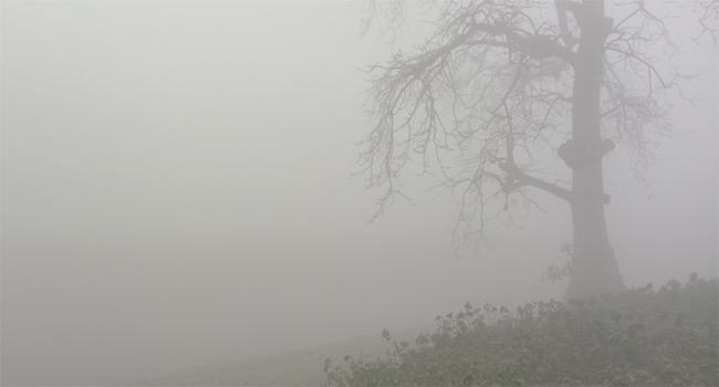 শীতে কাহিল নীলফামারীর জনজীবন
