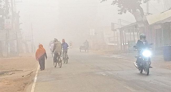 চুয়াডাঙ্গায় কুয়াশা আর শীতের দাপটে জনজীবন বিপর্যস্ত
