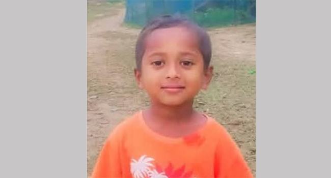 ভালুকায় পিকআপচাপায় শিশু নিহত
