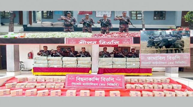 সিলেট সীমান্তে এবার ৫ কোটি টাকার চোরাই পণ্য জব্দ