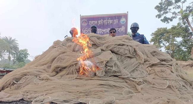 রাঙ্গাবালীতে দেড় লাখ মিটার অবৈধ জাল জব্দ, পুড়িয়ে ধ্বংস