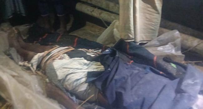 কক্সবাজারে বন্য হাতির আক্রমণে শ্রমিক নিহত