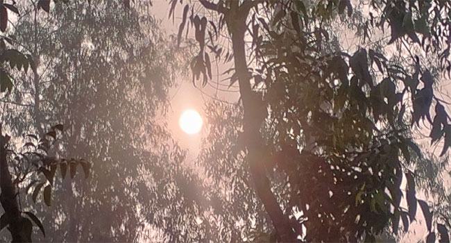 মাঘের ঘন কুয়াশা কাটিয়ে কুড়িগ্রামে সূর্যের হাসি