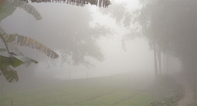 আবারও কুয়াশার চাদরে ঢেকেছে নীলফামারী