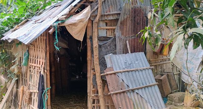কমলগঞ্জে বাড়িতে ঢুকে হামলা চালালো ভাল্লুক