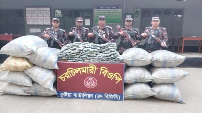 কুষ্টিয়ায় বিজিবির অভিযানে ৩৩ লাখ টাকার আতশবাজি আটক