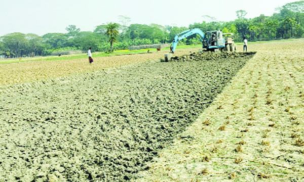 আমতলীতে ফসলি জমির মাটি ইটভাটায় কৃষি উৎপাদন বিপর্যয়ের মুখে