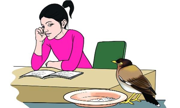 মিতালি