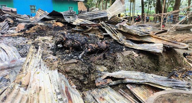 হাতিয়ায় আগুনে দগ্ধ স্বামী-স্ত্রীর মৃত্যু