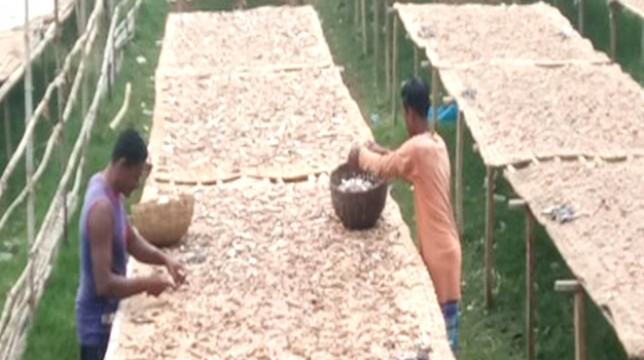 দুবলারচরের অপহৃত ১৫ জেলের জন্য জলদস্যুদের মুক্তিপণ দাবি