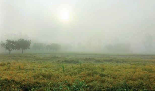 কুয়াশা পড়তে পারে