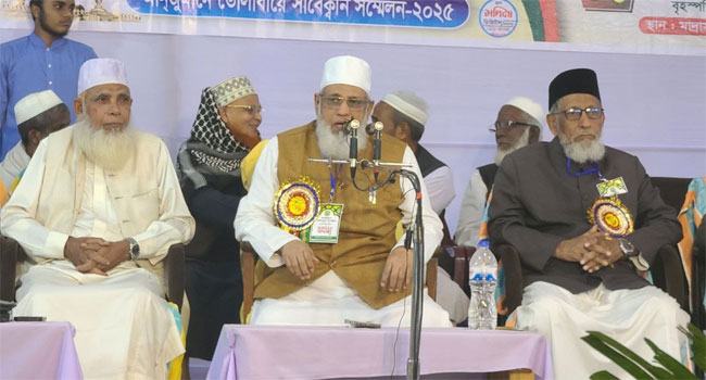 ১৬ বছর ইসলামী শিক্ষা-সংস্কৃতিকে কোনঠাসা করে রাখা হয়েছিল : শামসুল ইসলাম