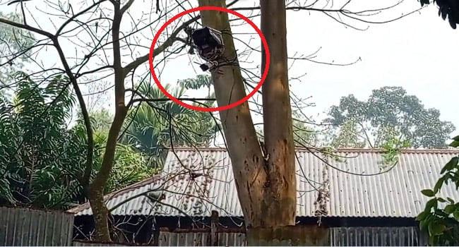 কুড়িগ্রাম সীমান্তে বিএসএফের সিসি ক্যামেরা, বিজিবির তীব্র প্রতিবাদ