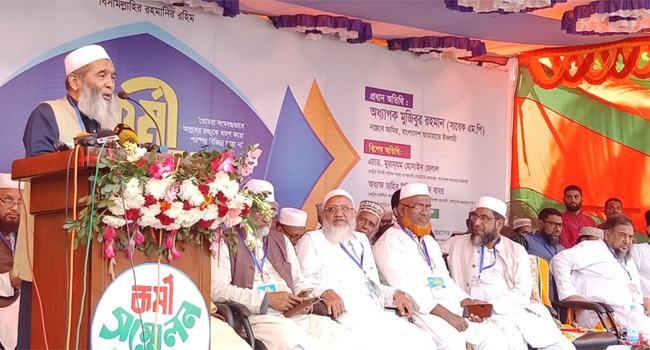 দেশে ন্যায়বিচার প্রতিষ্ঠায় ইসলামি দলগুলোর পক্ষে ভোট দিন : অধ্যাপক মুজিবুর
