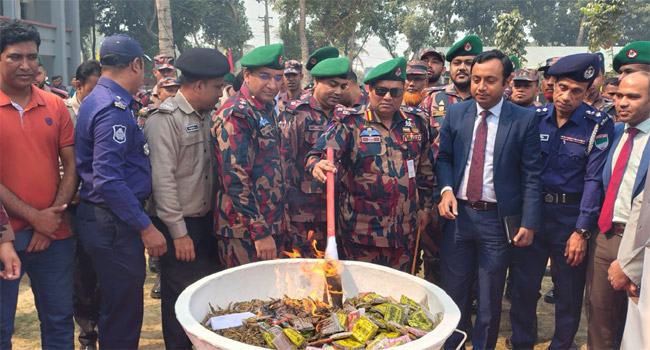 কুষ্টিয়ায় ৭৫ কোটি টাকার জব্দ মাদক ধ্বংস করল বিজিবি
