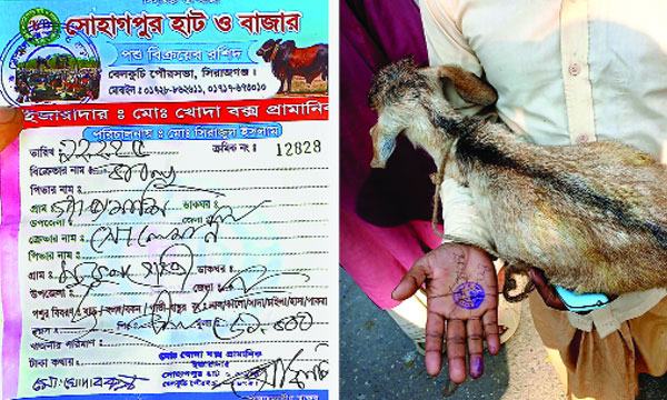 টোল আদায়ে সিল মারা হয় হাতের তালুতে