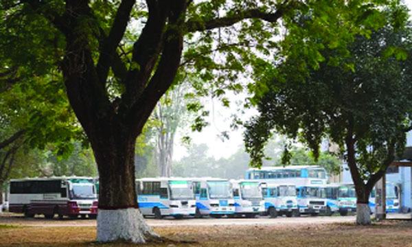 সাদা-নীল বাস