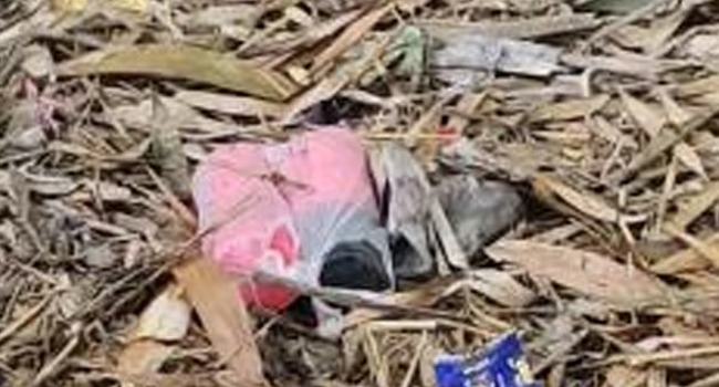 দর্শনায় উদ্ধারকৃত ৬টি বোমা নিষ্ক্রিয় করল র‌্যাব