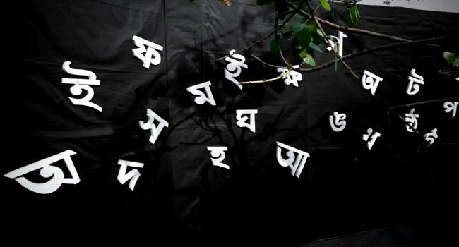 রাজনীতির ভাষা