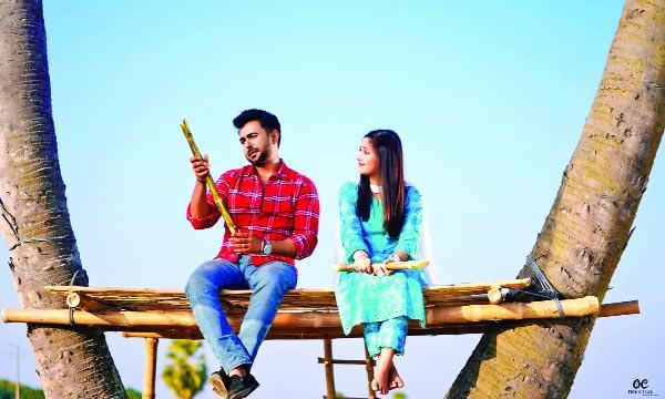 হৈ চৈ ফেলে দিয়েছে অপূর্ব-নীহার ‘মনদুয়ারী’